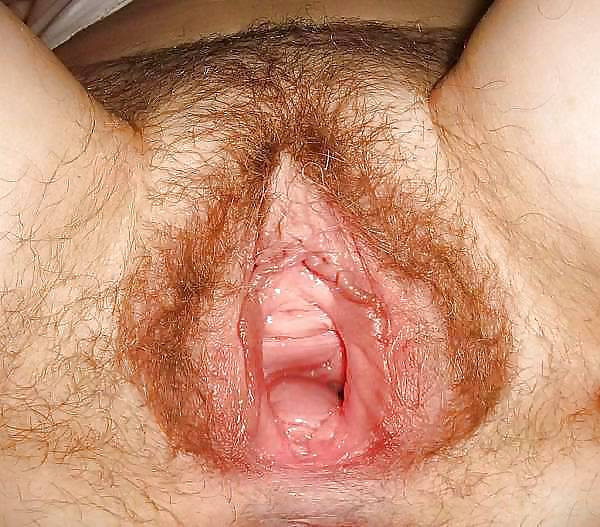 XXX some wide open pussy's