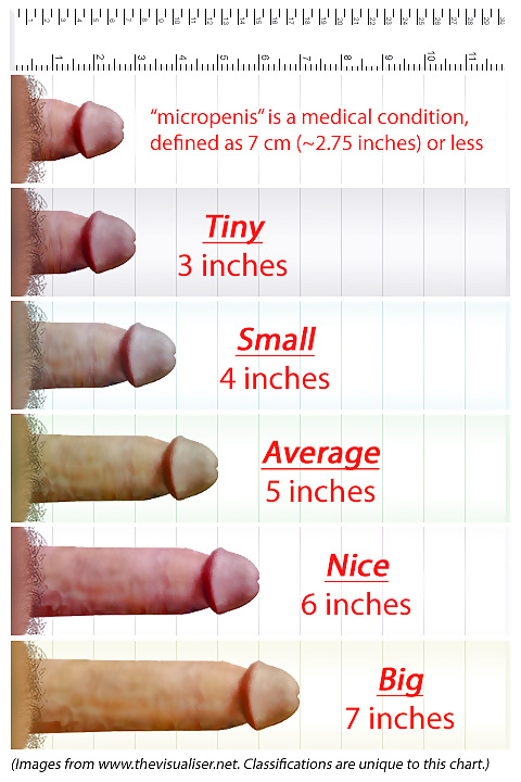Penis Size Chart 3 Pics Xhamster 
