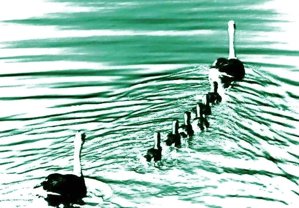 XXX Abstract Digital Art