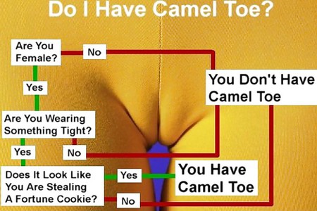 camel toe test