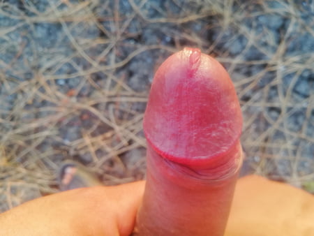 bronceando mi verga en el rico sol            